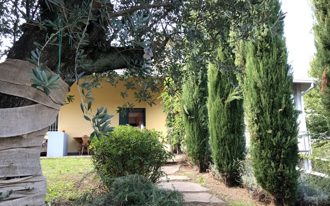 Brunello: villa singola con due unità abitative indipendenti